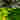 0T8A5940