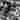 211124 Compass Q20330 (1)