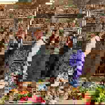 0T8A5531