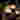 171023 Compass Q24363 Resized