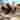 Compass 17 5 22 (220) (1)