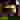 171023 Compass Q24363 Min