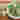 Compass 17 5 22 (256) (1)