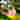 0T8A5948